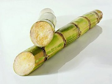 11种食物吃错会要人命