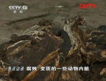 腐败动物内脏炼成新型地沟油