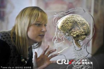 健康探索：真实的人脑构造