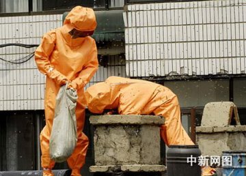 消防员闹市捣毁巨型马蜂窝
