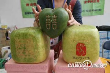 果农展出方形心形西瓜 只让观看不售卖