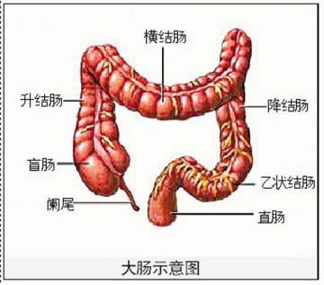 人到四十要做一次结肠镜