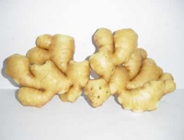 细数：十一种好膳食 滋养中国女人