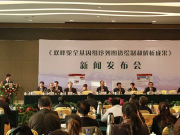 我国科研人员绘制和破译世界首例双峰驼全基因组序列图谱