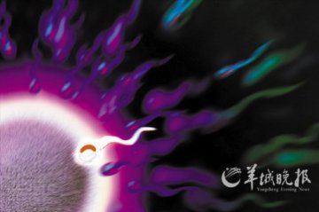 50%不育男性精子形态异常 应多吃大豆、山药等