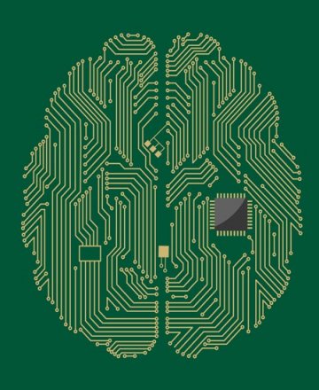 科学家构建出最真实人造大脑 可模拟人脑缺陷