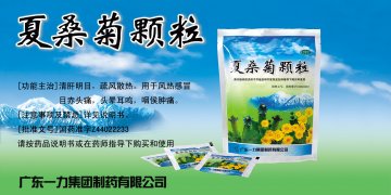 夏桑菊颗粒-官方高清创意广告(粤药广审(文)第2011060295号)