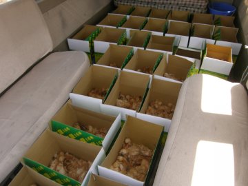 甘肃高台县骆驼城卫生院定期点评处方规范医生合理用药