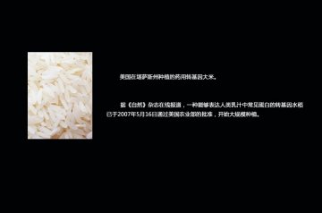 如何辨别转基因食品