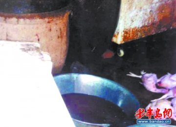 山东现病死鸡黑作坊：50余万斤问题鸡肉流入市场