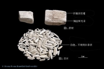 石膏（Shigao）中药材鉴别相册
