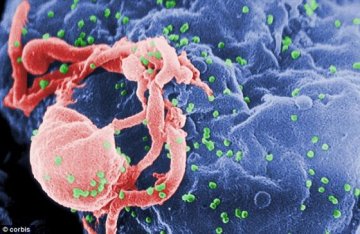 美科学家研发辐射炸弹可清除体内艾滋病毒
