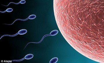 日本科学家培育出人造精子 引发伦理道德问题