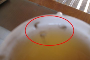崂山啤酒内喝出五只蚊子 厂家称蚊子自行爬入