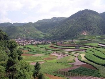 第三次鼠疫大流行