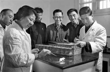 历史上的今天：中国首次人工合成了结晶牛胰岛素