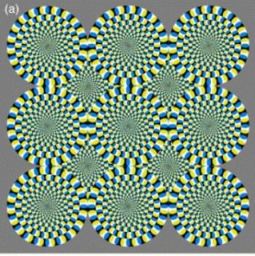 揭秘幻觉图片旋转原因 大脑真感受到了运动