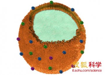 科学家发明
