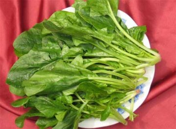 警惕！蔬菜最损健康的10大“要命”吃法