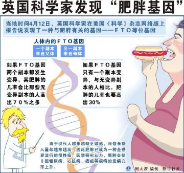 女性肥胖基因被发现 科学家称需改变进食行为