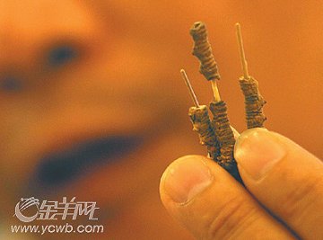 广州地下市场售卖无疗效的真药材