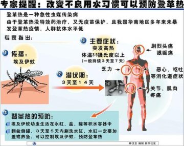 广东东莞：爆发登革热疫情 全城动员统一灭蚊预防