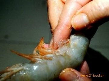 注胶虾调查结果曝光：这样的注胶虾真的吃不死人？