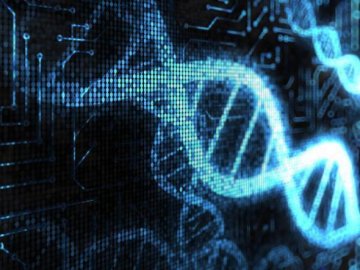 科学家发现进化奇迹：人类8%遗传物质来自病毒