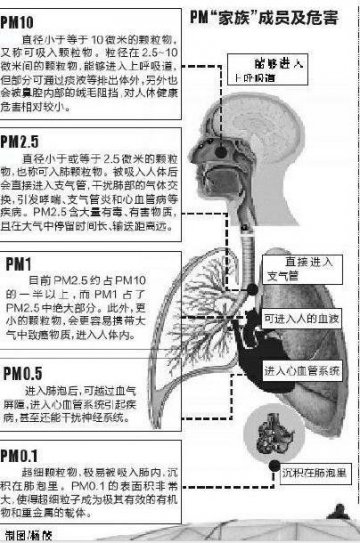 社科院报告称雾霾天气影响生殖能力 提高死亡率
