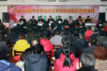 中央补助农村癫痫防治管理项目在满城启动 癫痫患者免费治疗