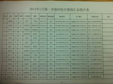2014年1月临时医疗救助汇总统计表