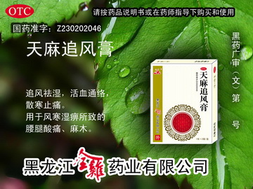 天麻追风膏-官方高清创意广告(黑药广审(文)第2012100088号)