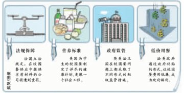 国外校园餐扫描：或制定营养计划或成为社会福利