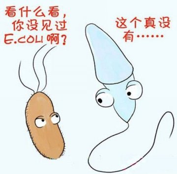 漫画图解精子先生的15种死法