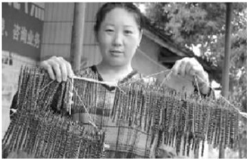 上万只蜈蚣爬上马路 专家称非地震前兆