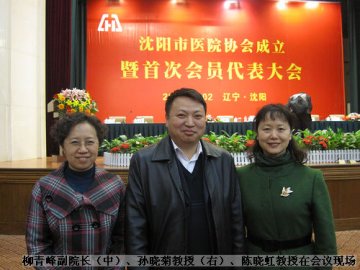 沈阳市医院协会首次会员代表大会暨成立大会在沈阳召开