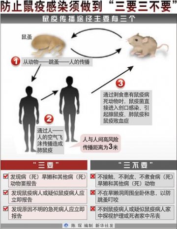 西藏发生肺鼠疫疫情 防止鼠疫感染须做到“三要三不要”