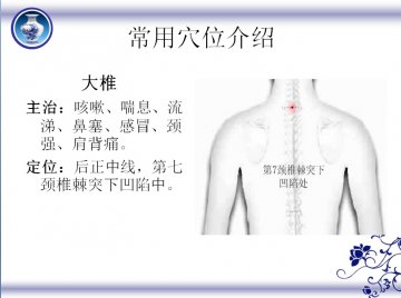 冬病夏治 三伏贴常用穴位介绍