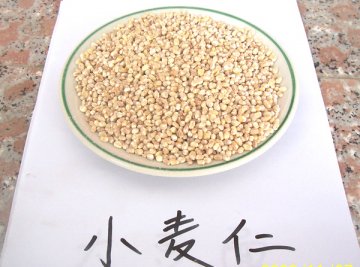 霜降至天气转凉 健胃护脾是关键