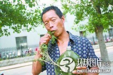 男子拿柏树叶当饭吃