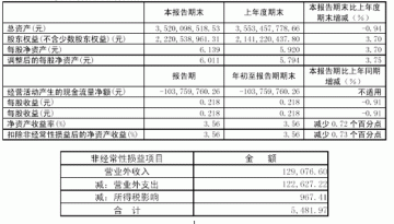 北京同仁堂股份有限公司2005年第一季度报告（节录）