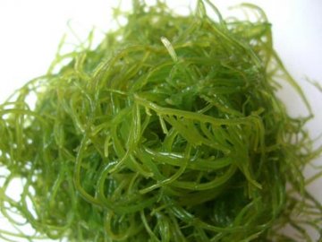 10种能防癌症的“超级”食物