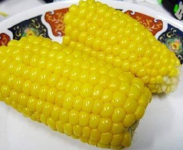 健康指南：主食多吃玉米 健脾开胃润肠护肤