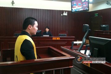 业务员网购假药销往乡镇药店牟利 获刑1年半