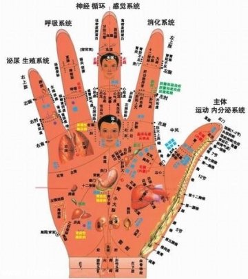 手掌穴位图