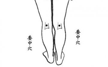 记住三个拍打养生法