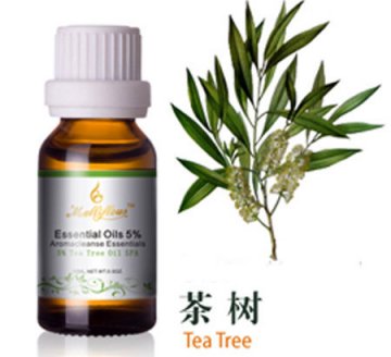 茶树精油配方对牙龈炎及口腔溃疡