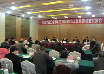 迎挑战 再出发 向零艾滋迈进——四川省内江市艾滋病防治工作接受省政府目标考评