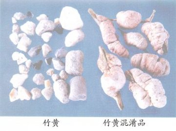 竹黄混淆品--菌竹黄（Junzhuhuang）