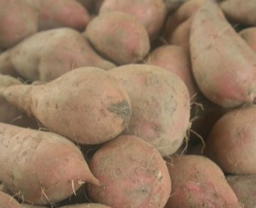 饮食禁忌：13种食物比砒霜还毒